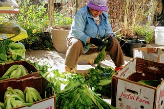 Beyond Bok Choy