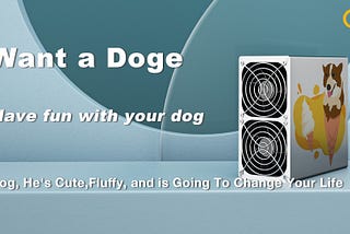 Community first selection-pick TOP2 Doge picture