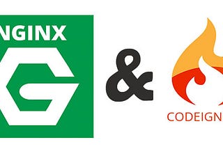 How to deal with index.php in CodeIgniter on the Nginx server
