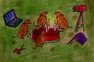 🎂 Snipette turns Four!