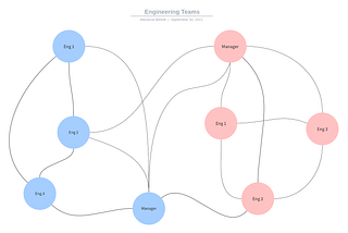 Engineering Teams Are Just Networks