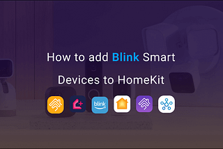 add blink to homekit