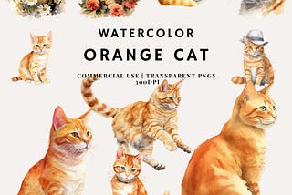 Watercolor Orange Cat Bundle Clipart | PNG | Commercial Use | Instant Download | 300DPI