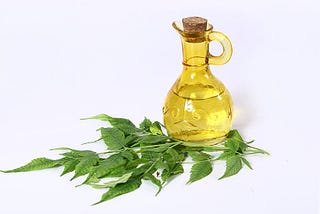 Top 5 Reasons to Utilize Neem Oil