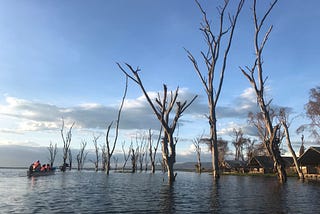 An Update: Some Additional Thoughts on Founding (and Living) with Depression