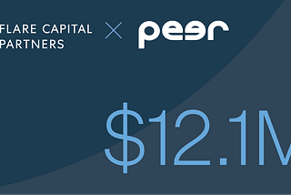 Investing in Peer AI