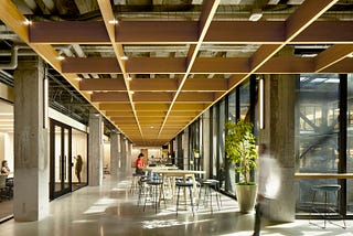 A wooden framework guides circulation around the atrium.