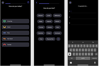 Wireframing Case Study: Halo Self Care Diary Journal, a dissection and imitation of the app