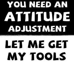 Adjust your attitude or die trying