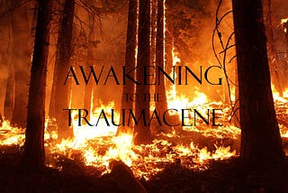 Awakening to the Traumacene