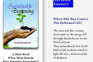“Sustainable Beginning”: How a Book Helped Me Recover My Long-lost Faith