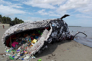 Is the global concern for marine plastic pollution a detracting truth?