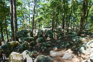 Moss covered rocks lay scattered across the woods as towering trees provide shade on a hot September day.