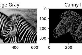 Canny Edge Detection Algorithm with Python