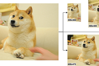 An Open Source and Completely Serverless Image Resizing Service in AWS