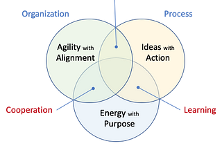Framework for Adaptive Customer Centric Innovation