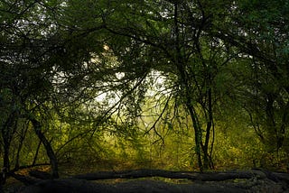 Between Awareness Days and Real Change: Where Do We Stand?