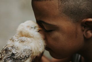 5 Ways to Tame Your Inner Chicken and Pull-Through on a Tough Task