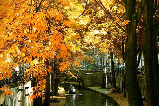 Early Autumn, Utrecht, The Netherlands