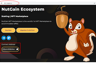 How to Add NutGain Token to your Metamask Wallet