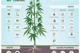 Who’s Ready for Hemp?