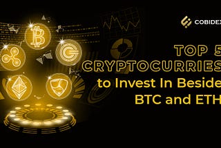 Top 5 Cryptocurrencies You Must Invest in Besides BTC and ETH