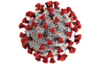 An artist’s impression of the Covid-19. It has a grey spherical centre with a lot of red protrusions that are spike proteins.