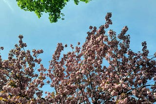 From Budding Romance to Resurrection: A Spring Reading List with a Twist