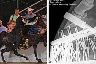 CONSERVATIVES AGAINST ANIMAL ABUSE ROLLS OUT WITH AN EFFORT TO FIGHT HORSE TORTURE