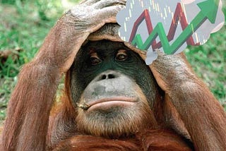 The Monkey Portfolio — Can Monkeys Beat the Market?