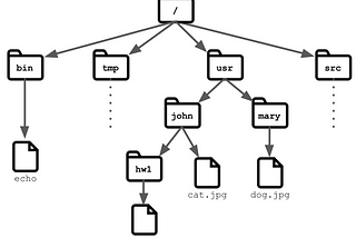 Getting Started With the Terminal