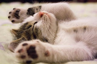 Tired of discipline? Start your procrastinating journey with 5 steps