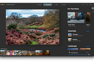 Luminar AI Review Is is a real Adobe Lightroom Killer?