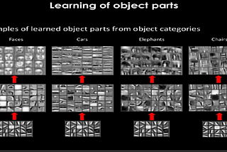 FIRST NEURAL ARCHITECTURE