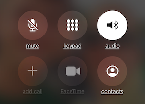 Political and Personal Growth- One Phone Call at a Time