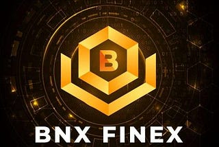 About BNX Finex