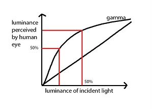 What RAW Photographers Need to Understand About ‘Gamma’