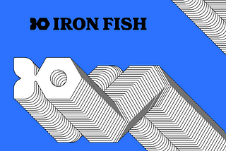 Meet Iron Fish. The game changing privacy blockchain.