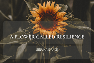 Poem: A Flower Called Resilience