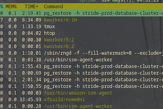 Postgresql 10 Installation on Amazon AWS EC2 Instance for Checking RDS Cluster