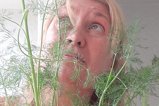 How to Speak to a Dill Weed Plant. Take the 7 Day Challenge