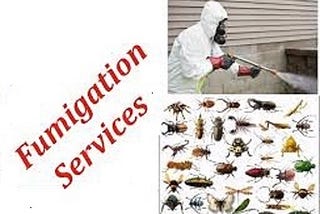 Choose the Right Fumigation services for your needs.