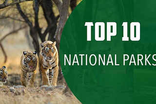 Top 10 Most Famous National Parks in Uttar Pradesh