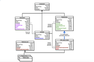 Healthcare Series — SNOMED Release Files