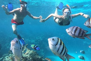 Cozumel, an island in the Caribbean Sea, is known for its beautiful beaches, crystal-clear waters…