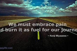 GET PURPOSE OF LIFE BY EMBRACING PAIN