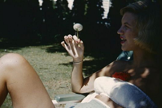 Beyond Plath’s Poppies
