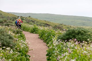 Ready, Set, Bloom — 5 Flower-Filled Hikes in the North Bay