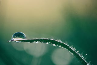 Why We Built a Sustainability-Focused Agency in the First Place