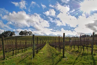 Daytripping through the wineries of the southern Santa Cruz Mountains